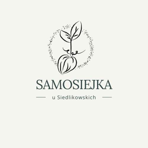 Villa Samosiejka - Z Widokiem Na Jezioro Lidzbark Welski Esterno foto